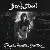 BERND STEIDL - PSYCHO ACOUSTIC OVERTURE, 1991, CD, Rock