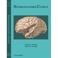 Paul A.Young Neuroanatomie Clinica foto