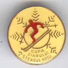 Cupa Ziarului STEAGUL ROSU - SCHI Insigna Sport de Iarna