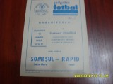 Program Somesul SM - Rapid Arad