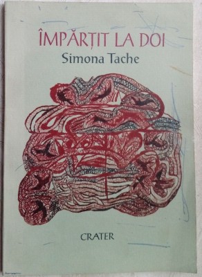 SIMONA TACHE:IMPARTIT LA DOI/VERSURI/DEBUT&amp;#039;99/DESENE VALERIU PANTILIMON/AUTOGRAF foto