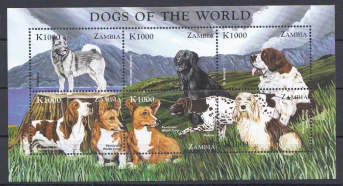 ZAMBIA 1999 FAUNA DOMESTICA CAINI