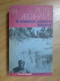 N6 O Cununa Pentru Udomo - Peter Abrahams