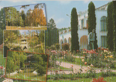 Cluj Napoca aprox. 2000 - Gradina botanica foto