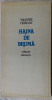 VALERIU CIOBANU-HAINA DE BRUMA(POEZII&#039;84)[ed.ION LAZU/pref. CORNELIA STEFANESCU]