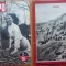 Revista de razboi italiana Tempo , in limba romana , nr. 33 , 1942