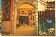 CPI B 10117 CARTE POSTALA - VATRA DORNEI. INTERIOR PASTORAL, FAMILIE CAPRIOARE