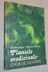 Plantele medicinale - izvor de sanatate - Ovidiu Bojor - Mircea Alexan foto