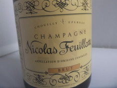 Champagne Nicolas Feuillatte brut/ Franta foto