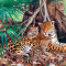 Puzzle Castorland - 3000 de piese - Jaguars in the jungle