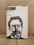 SCHITE SI POVESTIRI-ANTON PAVLOVICI CEHOV