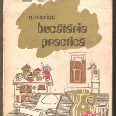 N.Olexiuc-Bucataria Practica