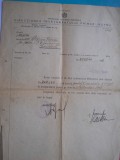HOPCT DOCUMENT VECHI NR 216 MINISTERUL EDUCATIEI -BUCURESTI 1946, Romania 1900 - 1950, Documente