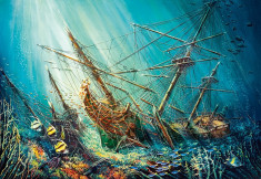 Puzzle Castorland 1000 Ocean Treasure foto