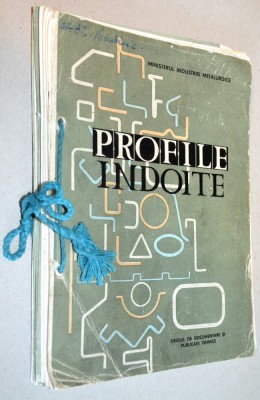 Profile indoite - 1965 Dumitru Traian foto