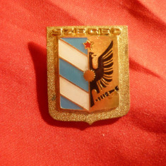 Insigna Stema orasului Szeged - Ungaria , metal si email , h= 2,5 cm