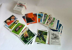 Lot 376 cartonase de colectie Unsere Wunderwelt foto