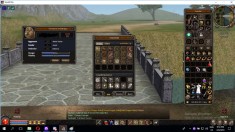 Vanzare cont Metin2 Wom2 World of metin2 romania foto