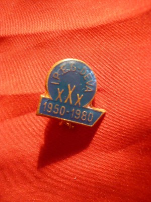 Insigna IPEG - Deva , metal si email , h= 1,5 cm foto