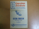 Culegerea tomatelor Bucuresti 1943 Ilie Isvoranu cunostinte folositoare 047