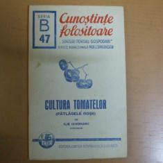 Culegerea tomatelor Bucuresti 1943 Ilie Isvoranu cunostinte folositoare 047