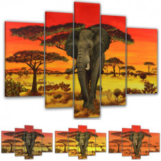 Tablou decor interior modern Africa elephant model BM7599 foto