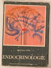 Endocrinologie, de Marcela Pitis 1985 foto