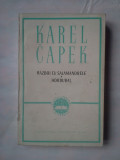 (C370) KAREL CAPEK - RAZBOI CU SALAMANDRELE / HORDUBAL