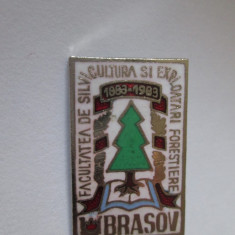 Insigna Fac.de silvicultura si ex.forestiere Brasov 1883-1983,dimensiuni=28 x 18
