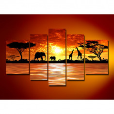 Tablou decor modern Africa wild elephants model BM861 foto