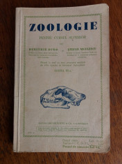 Manual vintage de Zoologie 1935 / R5P1S foto