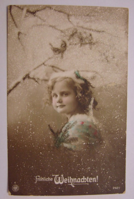 Carte postala circulata la Teregova in anul 1913 (jud. Caras-Severin) foto