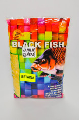 Nada pescuit BLACK FISH cu canepa si betaina 1 kg foto