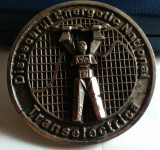 TELECOMUNICATII -DISPECERATUL ENERGETIC NATIONAL -TRANSELECTRICA Medalie + CUTIE