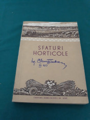 SFATURI HORTICOLE/ 1953 foto