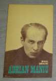 Adrian Maniu / Mihail Iordache