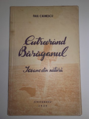 Raul Calinescu -Cutreierand Baraganul , Icoane din natura-1939 foto