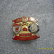 Insigna Liverpool - Unirea Urziceni Eur. L. 2010