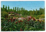 BUCURESTI GRADINA BOTANICA CIRCULAT 1966
