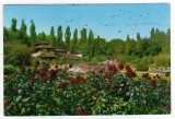 BUCURESTI GRADINA BOTANICA CIRCULAT 1966, Circulata, Printata