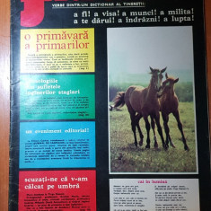 revista flacara 13 aprilie 1974-articol si foto despre orasul bucuresti