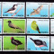 Samoa 2013 fauna pasari MI 1105-1116 MNH w49