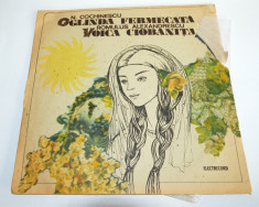 Disc vinil LP - Povesti- Oglinda Fermecata - Voica Ciobanita foto