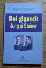 Doi giganti : Jung si Steiner : confruntare si sinopsis / Gerhard Wehr foto