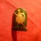 Insigna de Pionier - Fotbal- Tot Inainte RPR , metal si email , d= 2 cm