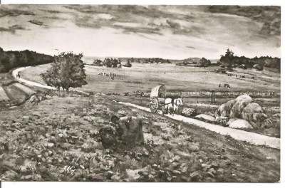carte postala(ilustrata)-ION ANDEESCU-Drum pe coline foto