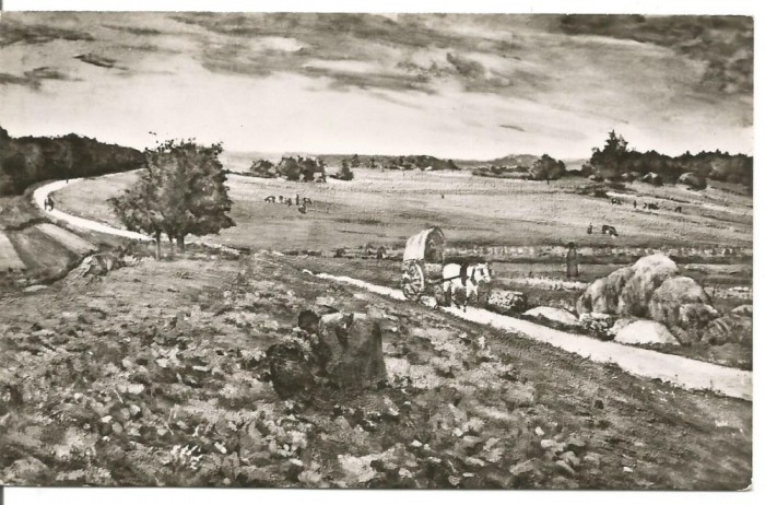 carte postala(ilustrata)-ION ANDEESCU-Drum pe coline