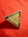 Insigna Romanian RT AGM Suceava 1994 ,metal si email ,h= 3 cm