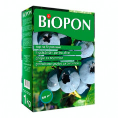 BIOPON ingrasamant pentru afine 1 kg foto