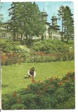 (A) carte postala(ilustrata)-SLANIC MOLDOVA-vedere